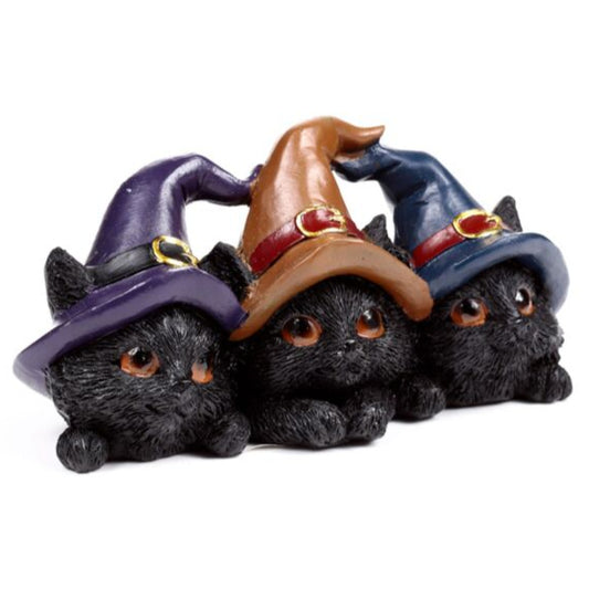 Three black cats wearing colorful witch hats on a white background