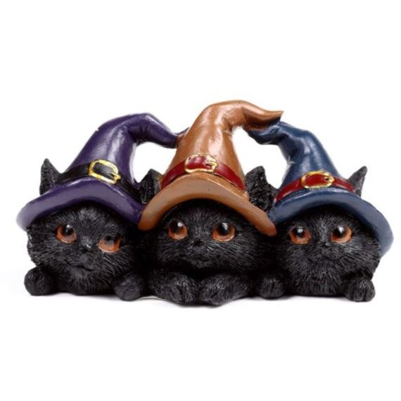 Witches Cat - Trio in Witches Hats