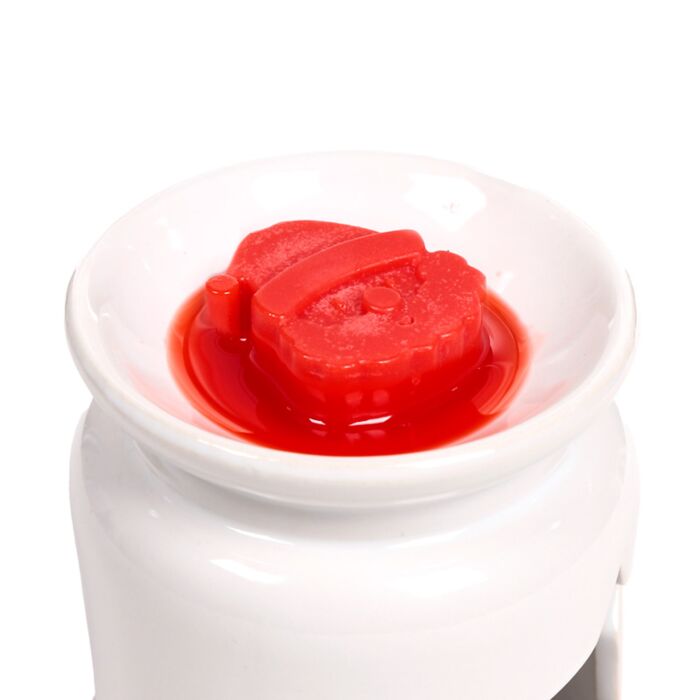 Set of 5 Handmade Festive Wax Melts - Cosy Christmas