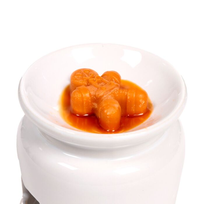 Set of 5 Handmade Festive Wax Melts - Cosy Christmas